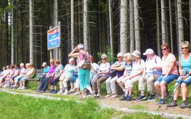 Eine Gruppe wandernder Frauen ruhen sich auf einer Bank am Waldrand aus.
