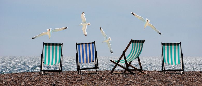 Liegestühle und Möwen am Strand