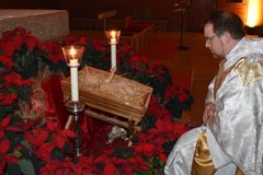 Krippe mit Jesuskind umgeben mit einer Vielzahl von roten Weihnachtssternen, davor kniet Pfarrer Fenk