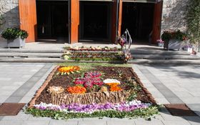 Herbstlicher Blumenteppich